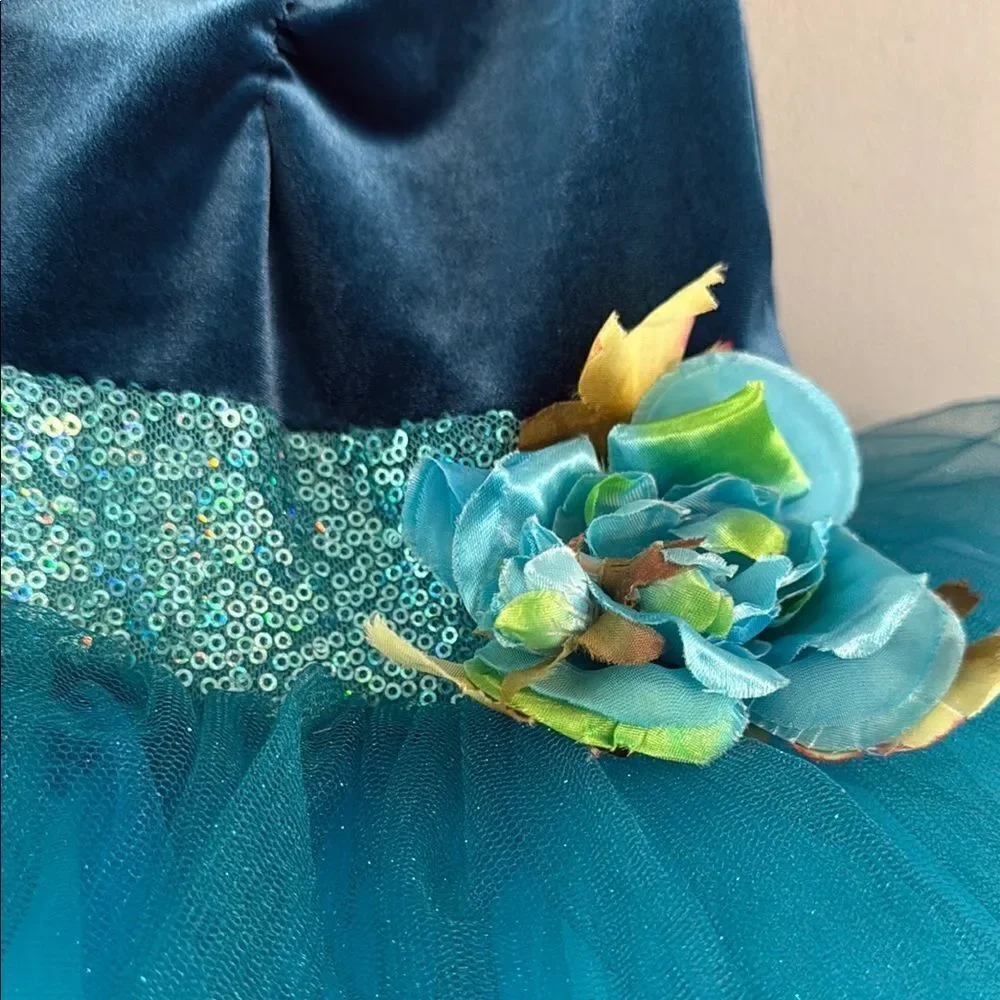 Girl’s Small blue Ballet Tutu Dress Dance Fairy Princess dress ~ Dress Up